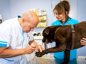 Overleg met Dr. Beco - Medische diensten